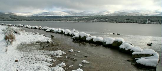 Loch Morlich, Highlands, Scotland